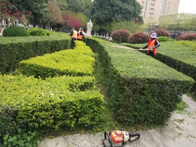 天津市绿化工程施工