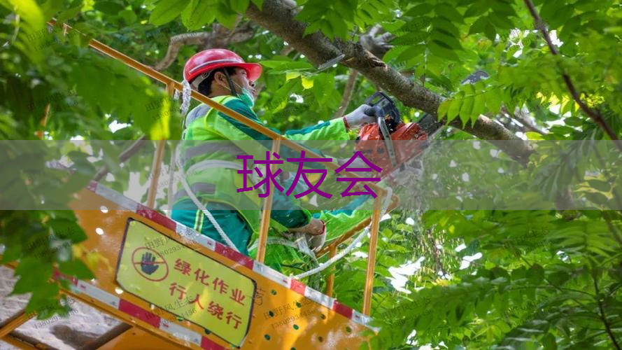 永州绿化有限公司招聘