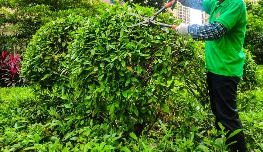 绿化工程整合资源有哪些